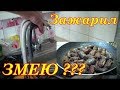 МИНОГА. Как с ней справиться?