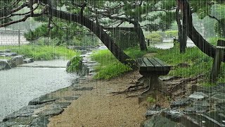 전통마을 연못가 벤치에서 듣는 힐링 빗소리, 빗소리asmr, 비오는 소리, 빗소리자장가, 수면빗소리, rain, rain sound, gentle rain