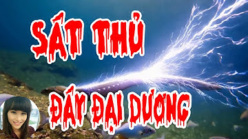 Sức Mạnh Đáng Sợ Của Lươn Điện | Quái Vật Sông Nước | Thế Giới Đó Đây