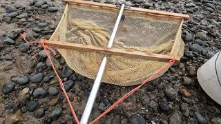 Coastal Exploration UK  Push Netting at Hampton Pier, Herne Bay, Kent 