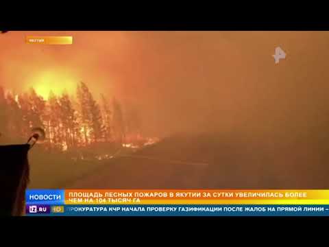 Кругом огонь: водители в Якутии прорываются сквозь пламя на дороге