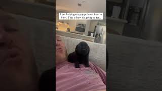 This puppy learns how to howl for the first time 😍🥲 #puppy #animals #cute #howling #funny #fyp