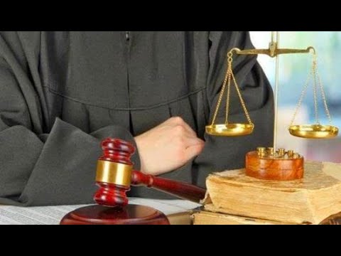 أهمية القانون الإداري