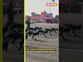 Watch Robot Dogs In Action Pune Celebrates With Robotic Dogs And Military Might NewsX Watch Robot Dogs In Action Pune Celebrates With Robotic Dogs And Military Might NewsX