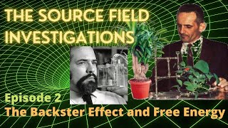 David Wilcock's The source Field Investigations (Episode 2: The Backster Effect and Free Energy)
