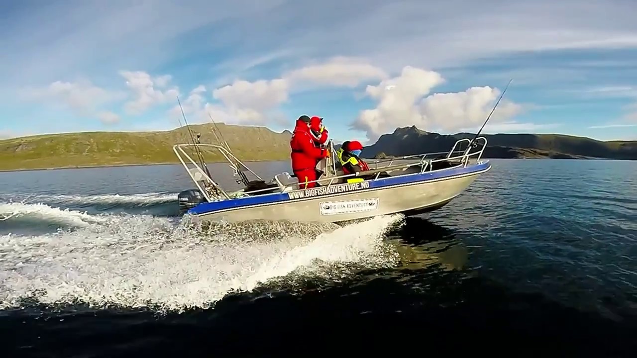 Halibut cod Sea Fishing Norway Hasfjord villmarksopplevelser YouTube