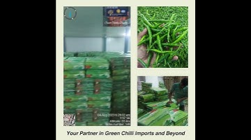 G4 Green Chilli Export Video