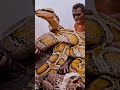 Life 3.8 Million Years Ago | Titanoboa and Early Human Surviva