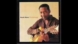 Muddy Waters - Mannish Boy