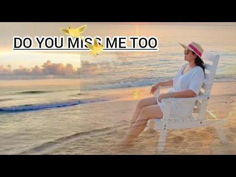 Do you miss me too(remix) by:EverHits Moritabari