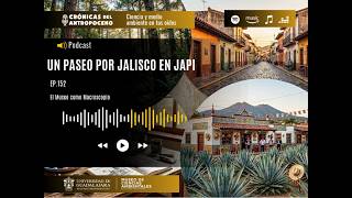 A TOUR OF JALISCO AT THE JAPI MUSEUM