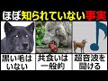 ほとんど知られていないオオカミの9の事実