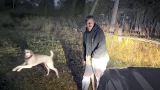 :       .