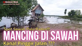 💖 Mancing di Sawah Palu Raden ‼️ Kanal Pinggir jalan ‼️ #fishing #mancingdisawah #pinggirjalan