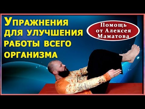 Как добиться, чтобы организм работал, как часики. Практика от Алексея Маматова