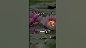 سورة الشرح بصوت جميل جداً ♥😔👌الم نشرح لك صدرك