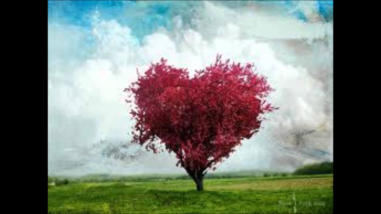 coldplayprincess of china ft. rihanna lyrics ) YouTube