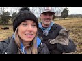 Crazy Barn Cats! Farm Fails &amp; Wins! Will We Finally Catch This Sneaky Calf?!