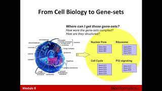 From Genes to Pathways