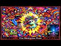 BookOne - Solace (PKNeer Extended Mix) [ViVA ELECTRONiCA BLACK] (HQ)