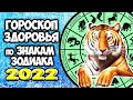 Точный гороскоп Здоровья на 2022 год для каждого Знака Зодиака