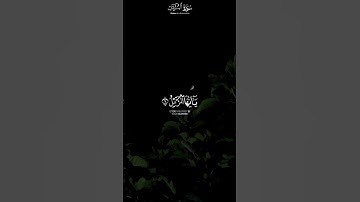 سورة المزمل القارئ 🎙️ شريف مصطفى 🤍