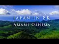 Japan in 8K- Amami Oshima (奄美大島 in 8K)