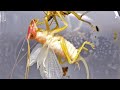 ヒノマルコロギスが羽化しました!!!!!!!