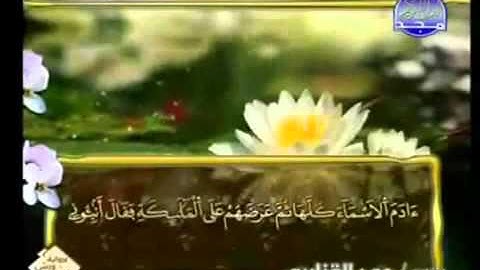 القران الكريم|الجزء الاول (1)|الشيخ عمر القزابري