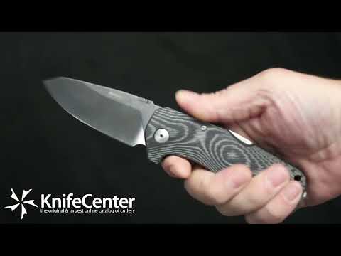 LionSteel TM1 MS