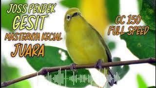 CIAK CIAK JOSS MASTERAN SPEED PENDEK KASAP KECIAL KUNING CC 150