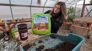 Repotting in the Greenhouse 🪴// Garden Answer