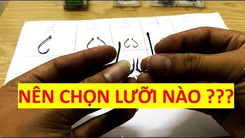 Trao Đổi và Chia Sẻ Kinh Nghiệm Chọn Lưỡi Câu Cá Sông