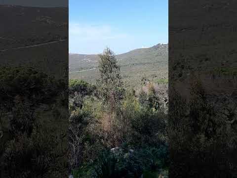 غابة الرميلات بطنجة ثروة بيئية وقبلة للترويح عن النفس      