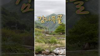 감나무골🩵나훈아#지리산자락#소소한풍경#자연#힐링#트르트#shorts