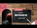 Морфологические нормы числительных