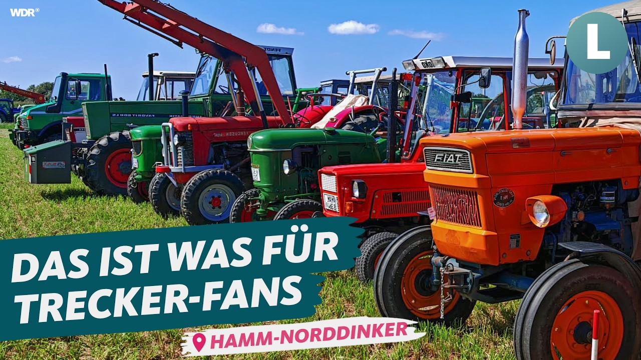 Fest der Ackergiganten: Unterwegs auf dem Oldtimer-Treff | WDR Lokalzeit Land.Schafft.