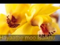 Nafalsakhu Ya Rasul Nafalsakhu Ya Rasul