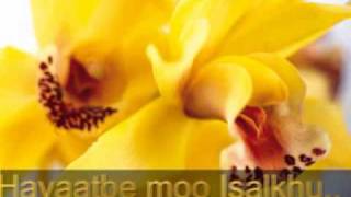 Download Lagu Nafalsakhu Ya Rasul MP3 Download Lagu Nafalsakhu Ya Rasul MP3
