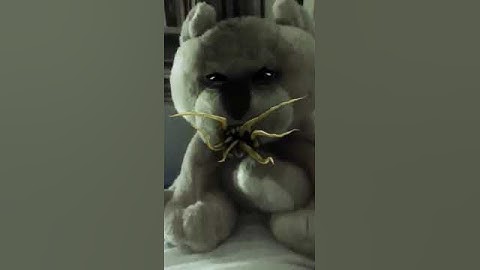 Peluche di mia sorella xD