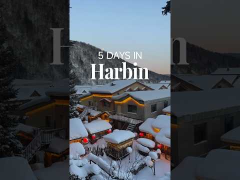 5 Days Harbin & China Snow Town Tour : Ice Castles, Mountain Drives & Fairy Tale Villages