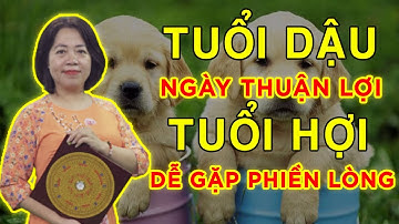 Tử Vi Hàng Ngày - Tử vi ngày 28/03: Tuổi Dậu ngày thuận lợi, ngày tuổi của Hợi, dễ gặp sự phiền lòng