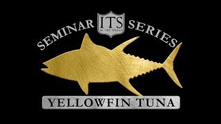 Yellowfin Tuna Seminar - In The Spread fishing videos