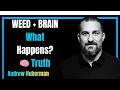 Marijuana & Your Brain: Effects, Risks & Science Explained