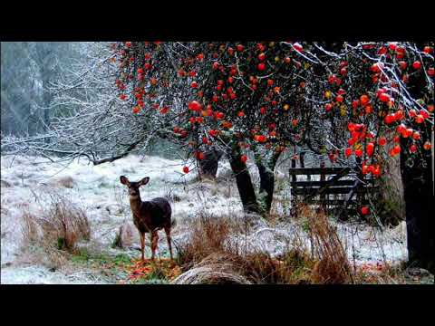 У дома Лили Иванова Дамян Дамянов Тончо Русев