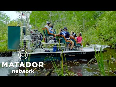 Video: Una Guida Per I Pescatori Del Sud-ovest Della Florida - Matador Network