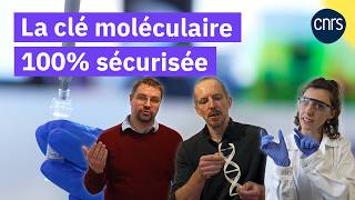 Ladn Peut-Il Révolutionner La Cryptographie ? Reportage Cnrs