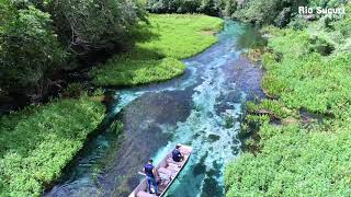 Rio Sucuri Ecoturismo Bonito MS