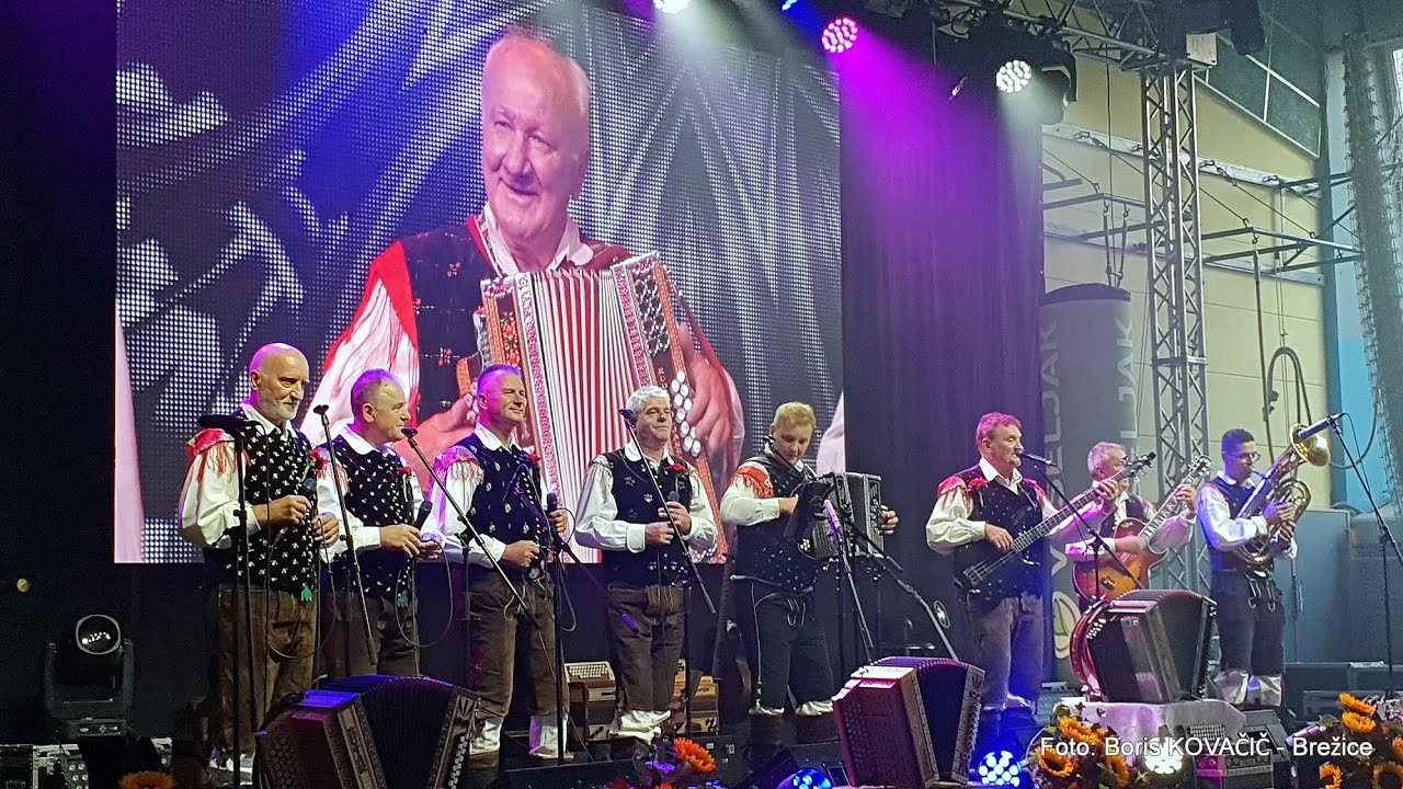 Ansambel Bratje Poljanšek - Pesem za godca (v živo)