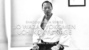S1 E8 Lockdown Aikido Yokomen Uchi Kokyu Nage